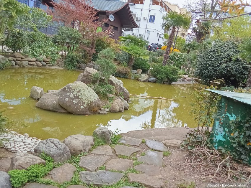 Сочи. Японский сад — Разные шарнирные куклы (не БЖД): редкие