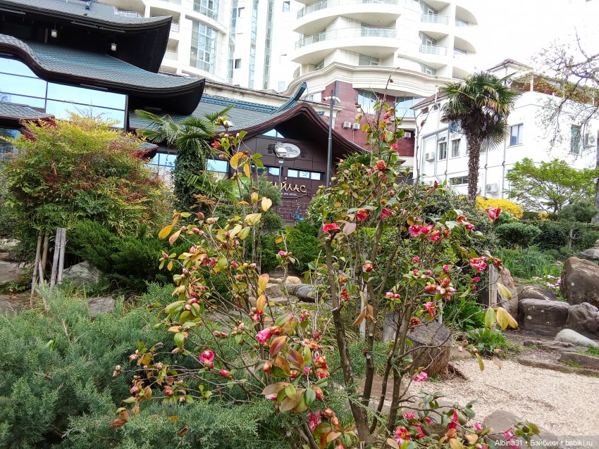 Сочи. Японский сад — Разные шарнирные куклы (не БЖД): редкие