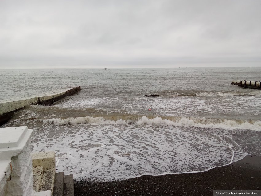 Сочи. Море и цветы (7) — Разные шарнирные куклы (не БЖД): редкие