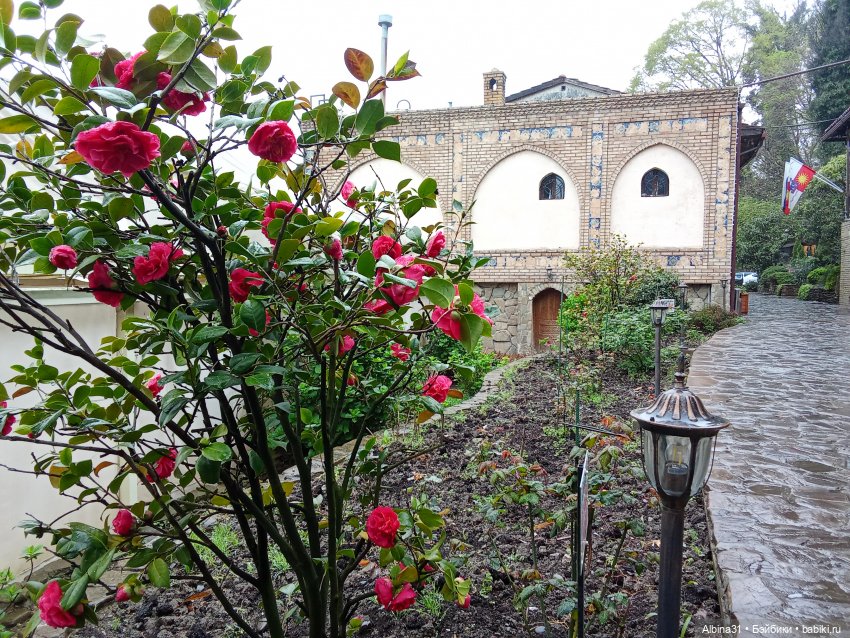 Сочи. Море и цветы (7) — Разные шарнирные куклы (не БЖД): редкие