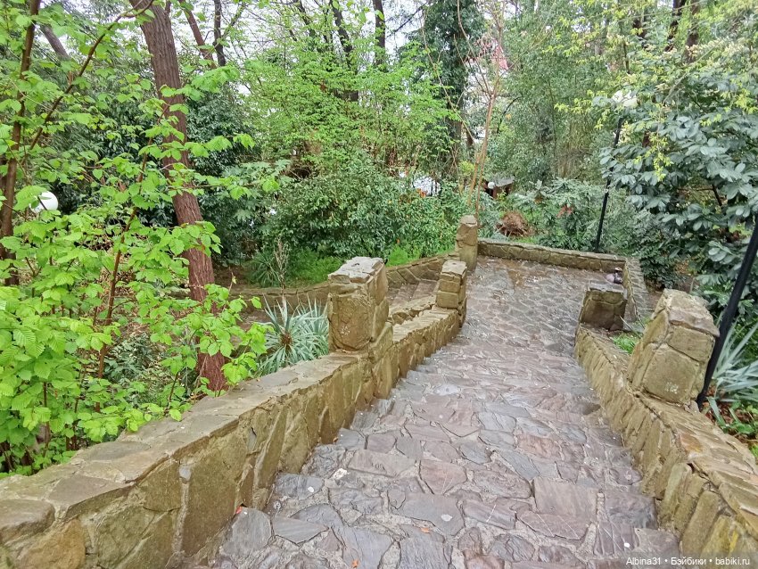 Сочи. Море и цветы (7) — Разные шарнирные куклы (не БЖД): редкие