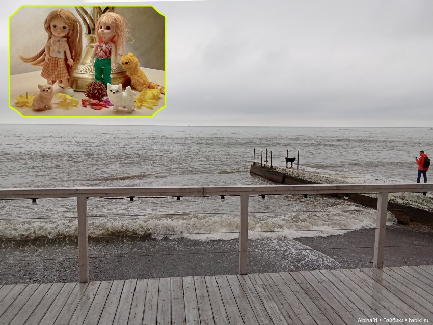 Сочи. Море и цветы (7) — Разные шарнирные куклы (не БЖД): редкие