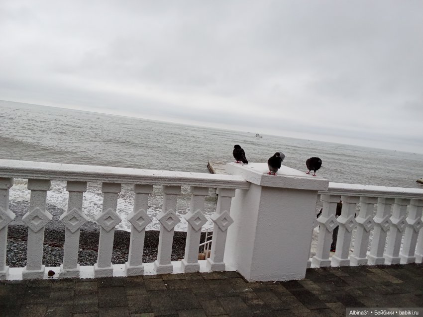 Сочи. Море и цветы (7) — Разные шарнирные куклы (не БЖД): редкие (фото 10)