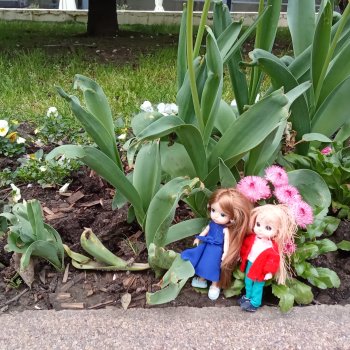 Сочи. Море и цветы (7)