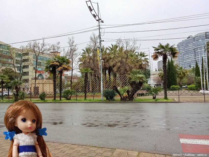 Сочи. Море и цветы (7) — Разные шарнирные куклы (не БЖД): редкие