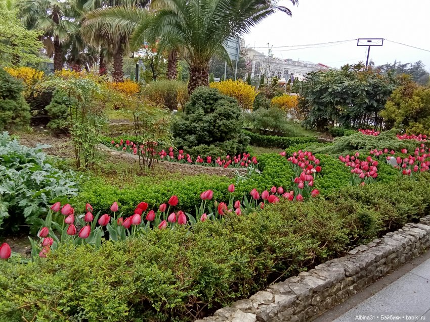 Сочи. Море и цветы (7) — Разные шарнирные куклы (не БЖД): редкие