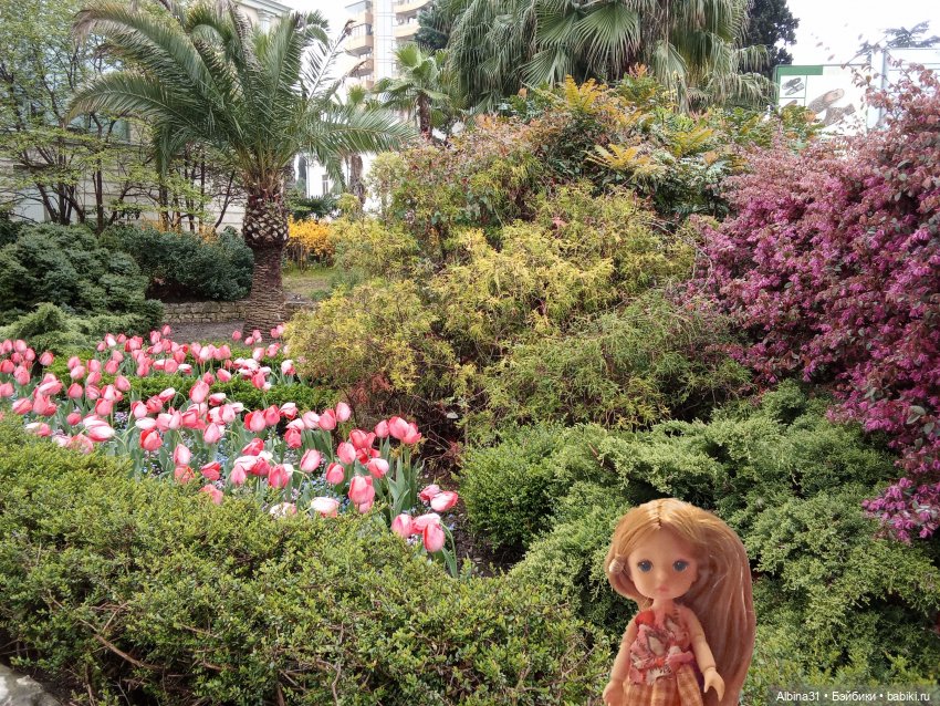 Сочи. Море и цветы (7) — Разные шарнирные куклы (не БЖД): редкие