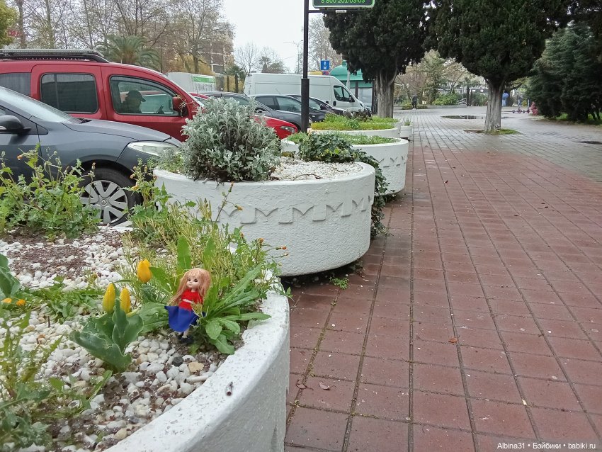 Сочи. Море и цветы (7) — Разные шарнирные куклы (не БЖД): редкие