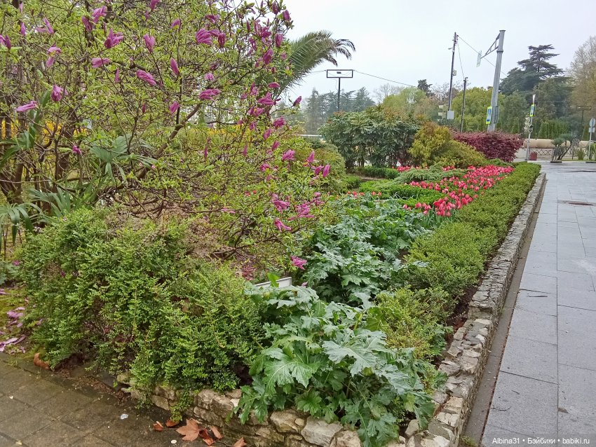 Сочи. Море и цветы (7) — Разные шарнирные куклы (не БЖД): редкие