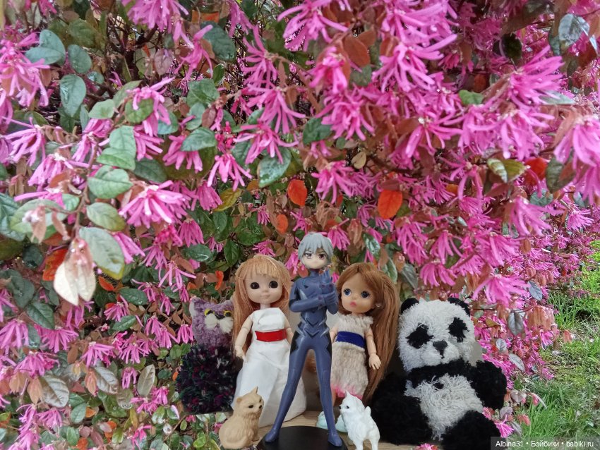 Сочи. Море и цветы (7) — Разные шарнирные куклы (не БЖД): редкие