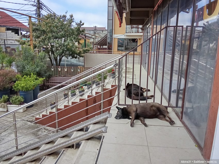 Сочи. Море...Кудепста — Разные шарнирные куклы (не БЖД): редкие