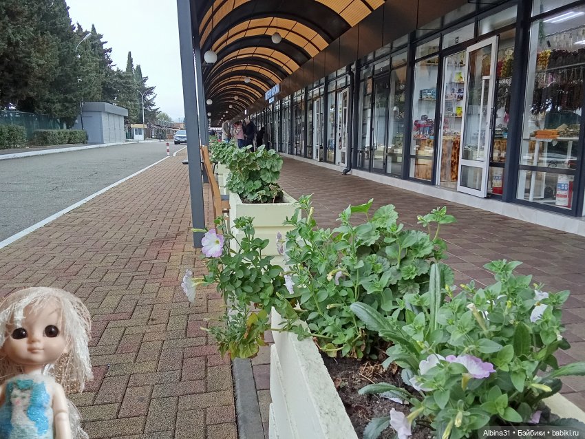 Сочи. Море...Кудепста — Разные шарнирные куклы (не БЖД): редкие