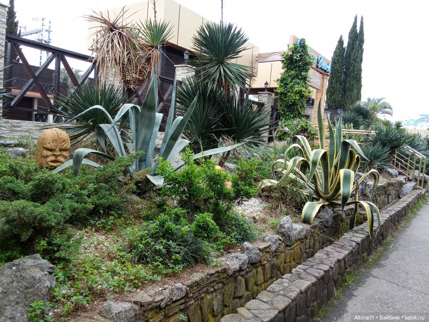 Сочи. Море...Кудепста — Разные шарнирные куклы (не БЖД): редкие