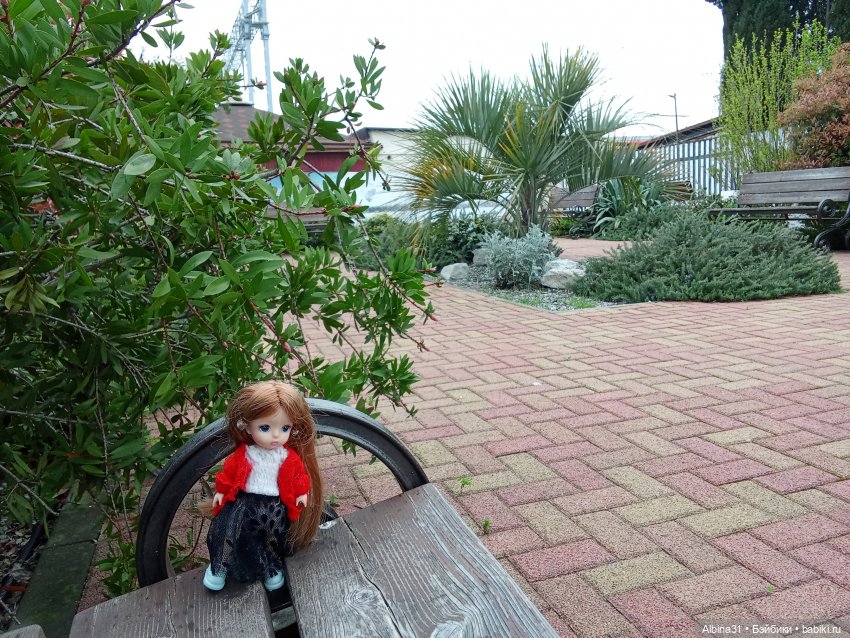 Сочи. Море...Кудепста — Разные шарнирные куклы (не БЖД): редкие