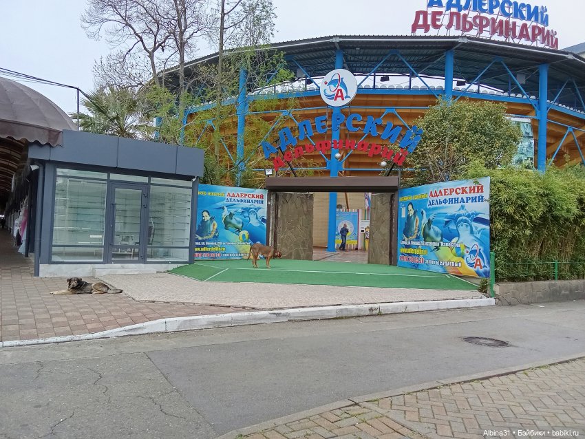 Сочи. Море...Кудепста — Разные шарнирные куклы (не БЖД): редкие