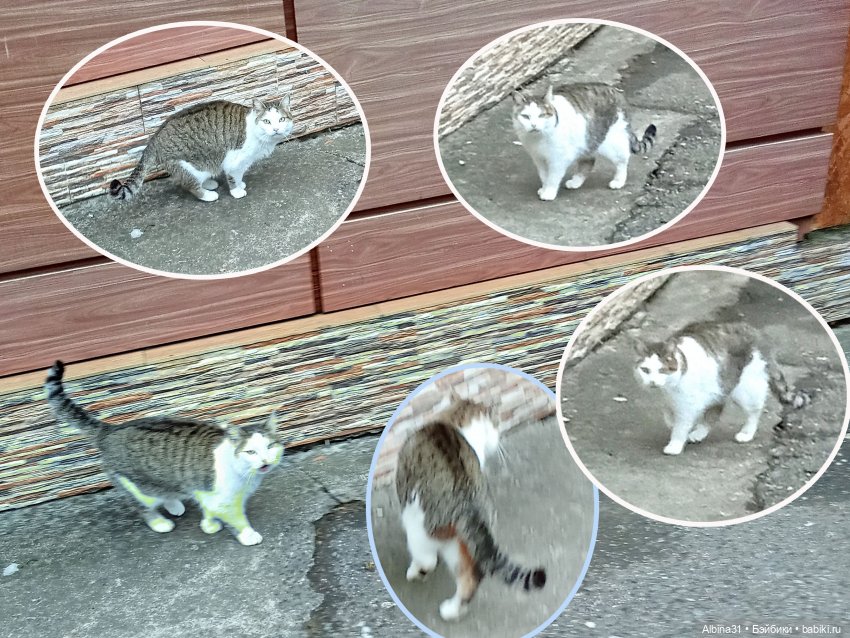 Сочи. Море...Кудепста — Разные шарнирные куклы (не БЖД): редкие