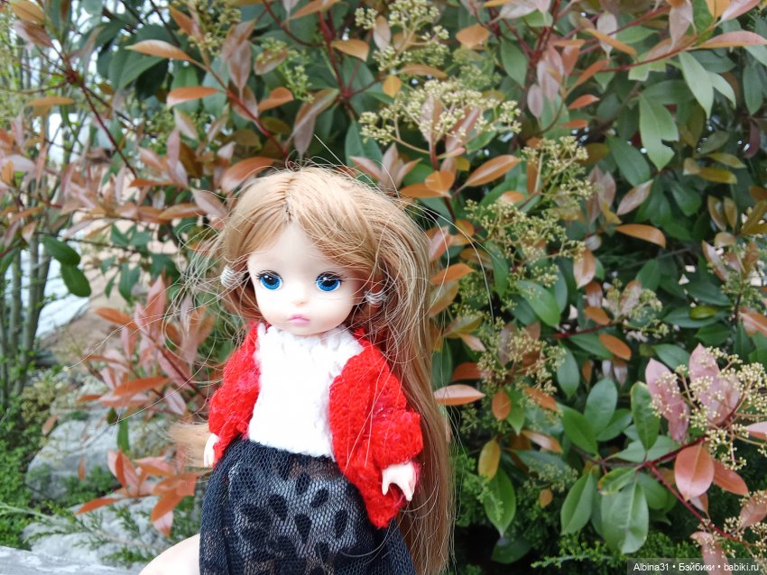 Сочи. Море...Кудепста — Разные шарнирные куклы (не БЖД): редкие