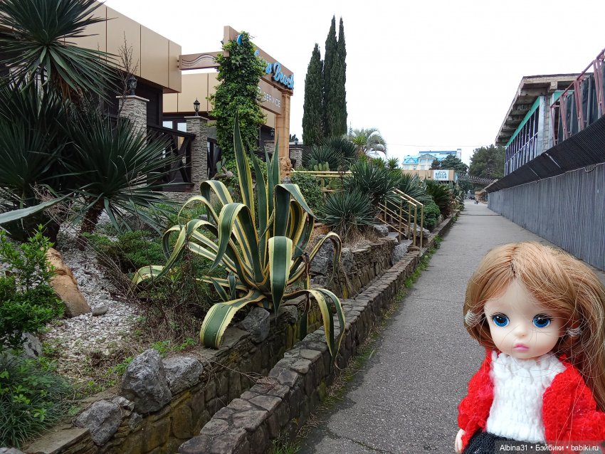 Сочи. Море...Кудепста — Разные шарнирные куклы (не БЖД): редкие