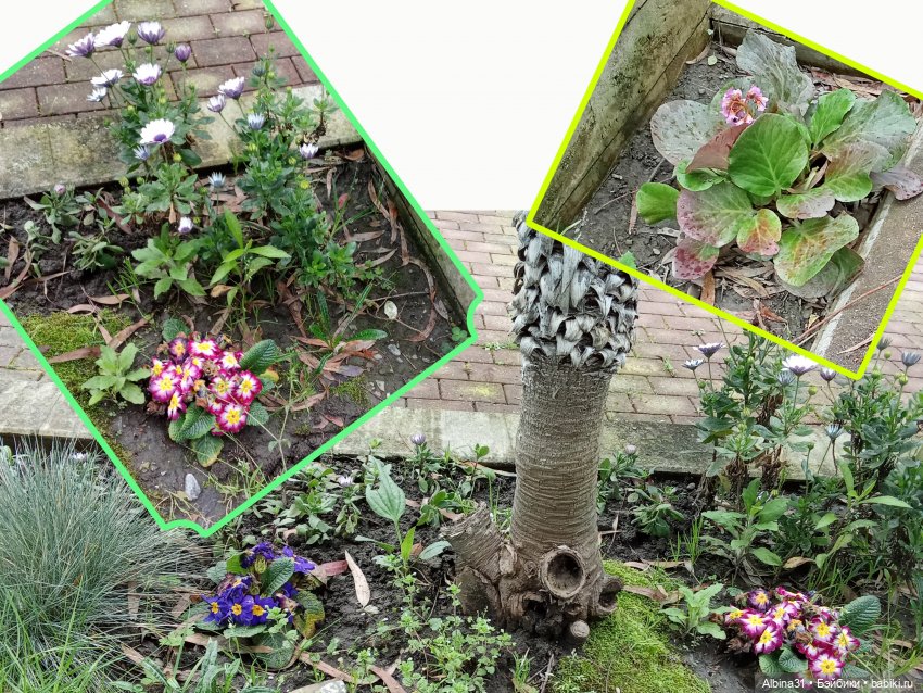 Сочи. Море...Кудепста — Разные шарнирные куклы (не БЖД): редкие