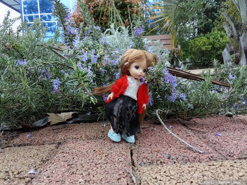 Сочи. Море...Кудепста — Разные шарнирные куклы (не БЖД): редкие