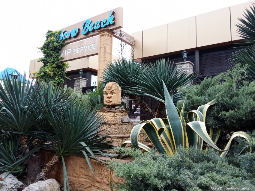 Сочи. Море...Кудепста — Разные шарнирные куклы (не БЖД): редкие