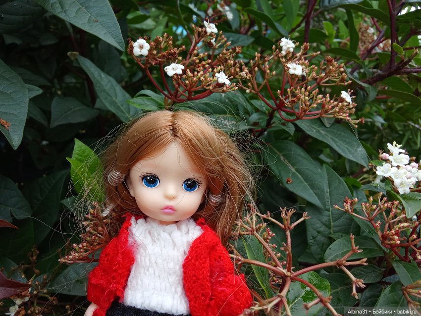 Сочи. Море...Кудепста — Разные шарнирные куклы (не БЖД): редкие