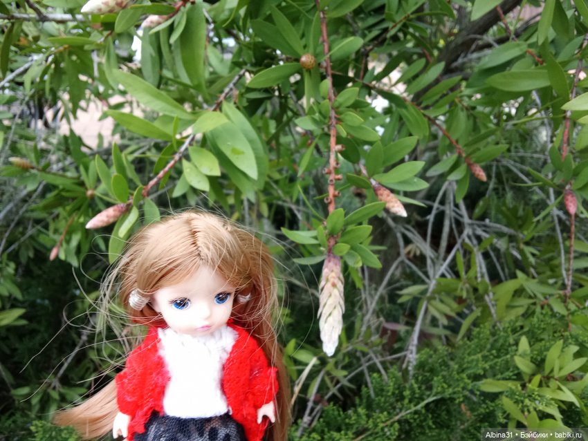 Сочи. Море...Кудепста — Разные шарнирные куклы (не БЖД): редкие