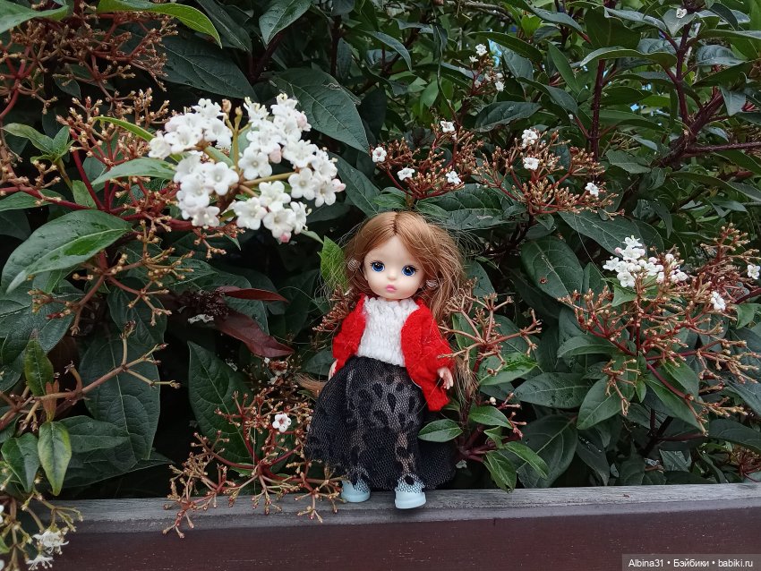 Сочи. Море...Кудепста — Разные шарнирные куклы (не БЖД): редкие