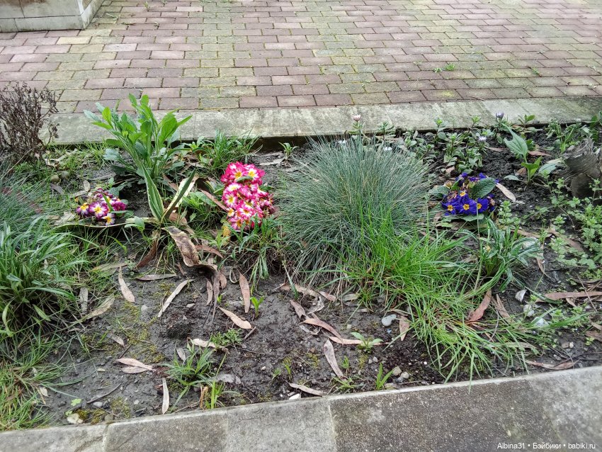 Сочи. Море...Кудепста — Разные шарнирные куклы (не БЖД): редкие