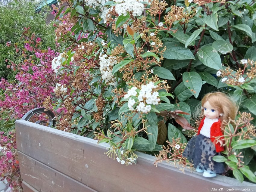 Сочи. Море...Кудепста — Разные шарнирные куклы (не БЖД): редкие