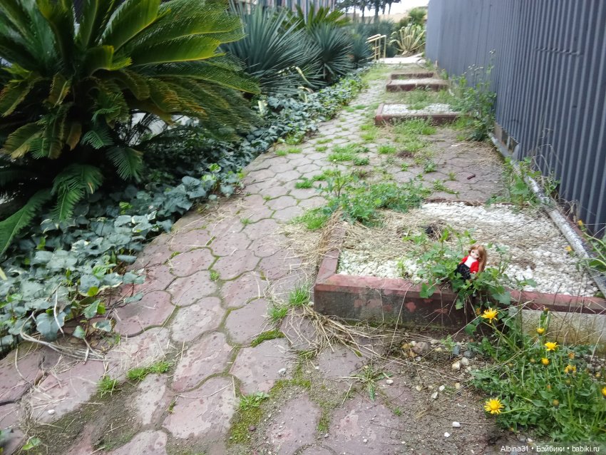 Сочи. Море...Кудепста — Разные шарнирные куклы (не БЖД): редкие