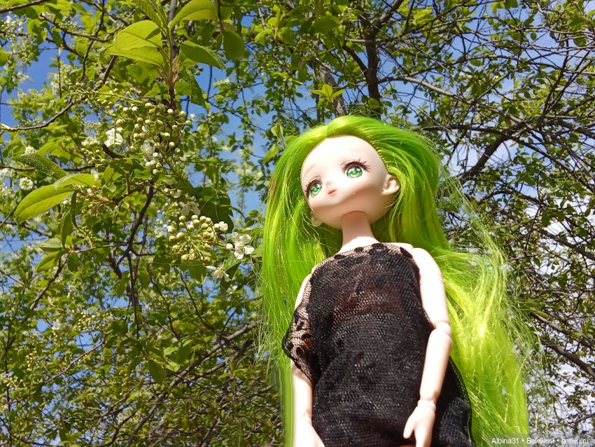 Куклы — Разные шарнирные куклы (не БЖД): редкие