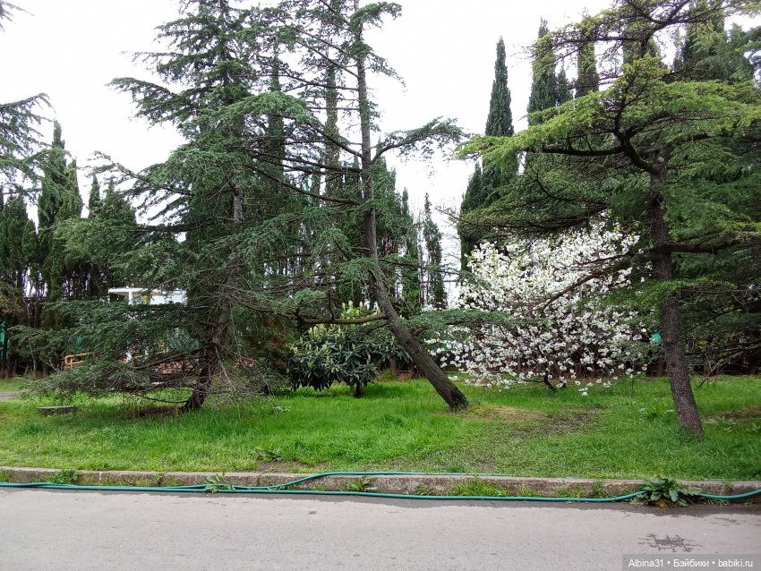 Апрель. Море, цветы — Разные шарнирные куклы (не БЖД): редкие