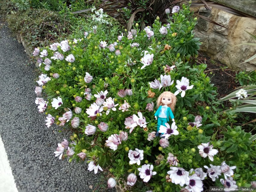 Апрель. Море, цветы — Разные шарнирные куклы (не БЖД): редкие