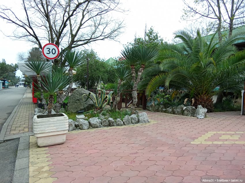 Апрель. Море, цветы — Разные шарнирные куклы (не БЖД): редкие