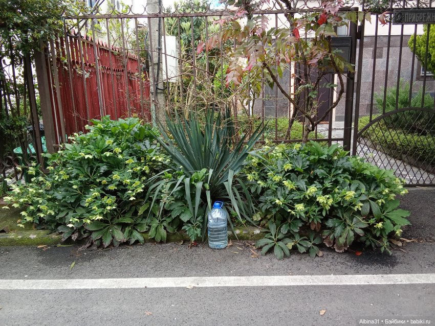 Апрель. Море, цветы — Разные шарнирные куклы (не БЖД): редкие