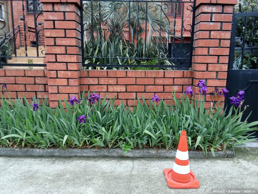 Апрель. Море, цветы — Разные шарнирные куклы (не БЖД): редкие