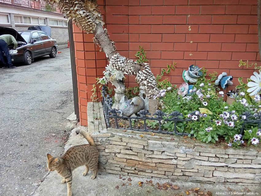 Апрель. Море, цветы — Разные шарнирные куклы (не БЖД): редкие