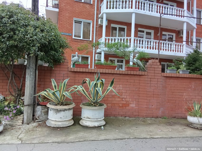 Апрель. Море, цветы — Разные шарнирные куклы (не БЖД): редкие (фото 10)