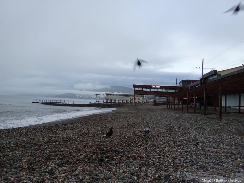 Апрель. Море, цветы — Разные шарнирные куклы (не БЖД): редкие