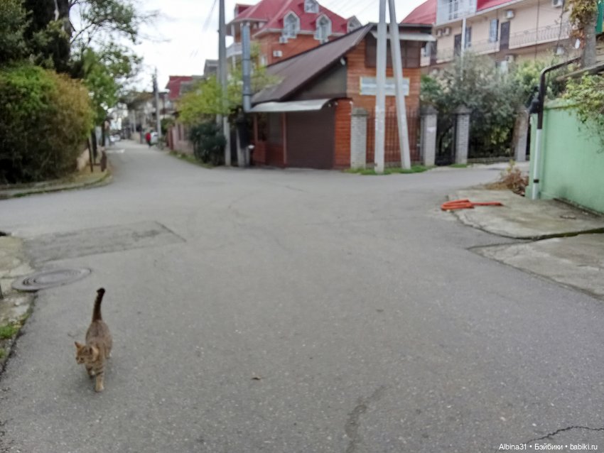 Апрель. Море, цветы — Разные шарнирные куклы (не БЖД): редкие (фото 5)