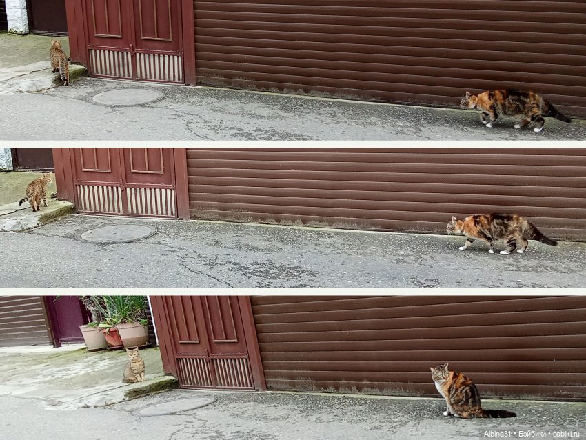 Апрель. Море, цветы — Разные шарнирные куклы (не БЖД): редкие