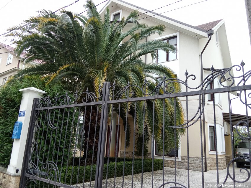 Апрель. Море, цветы — Разные шарнирные куклы (не БЖД): редкие