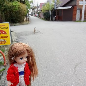 Апрель. Море, цветы...