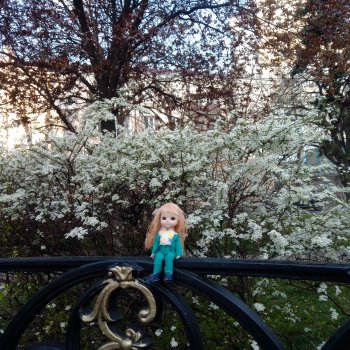 Краснодар. Март  2025