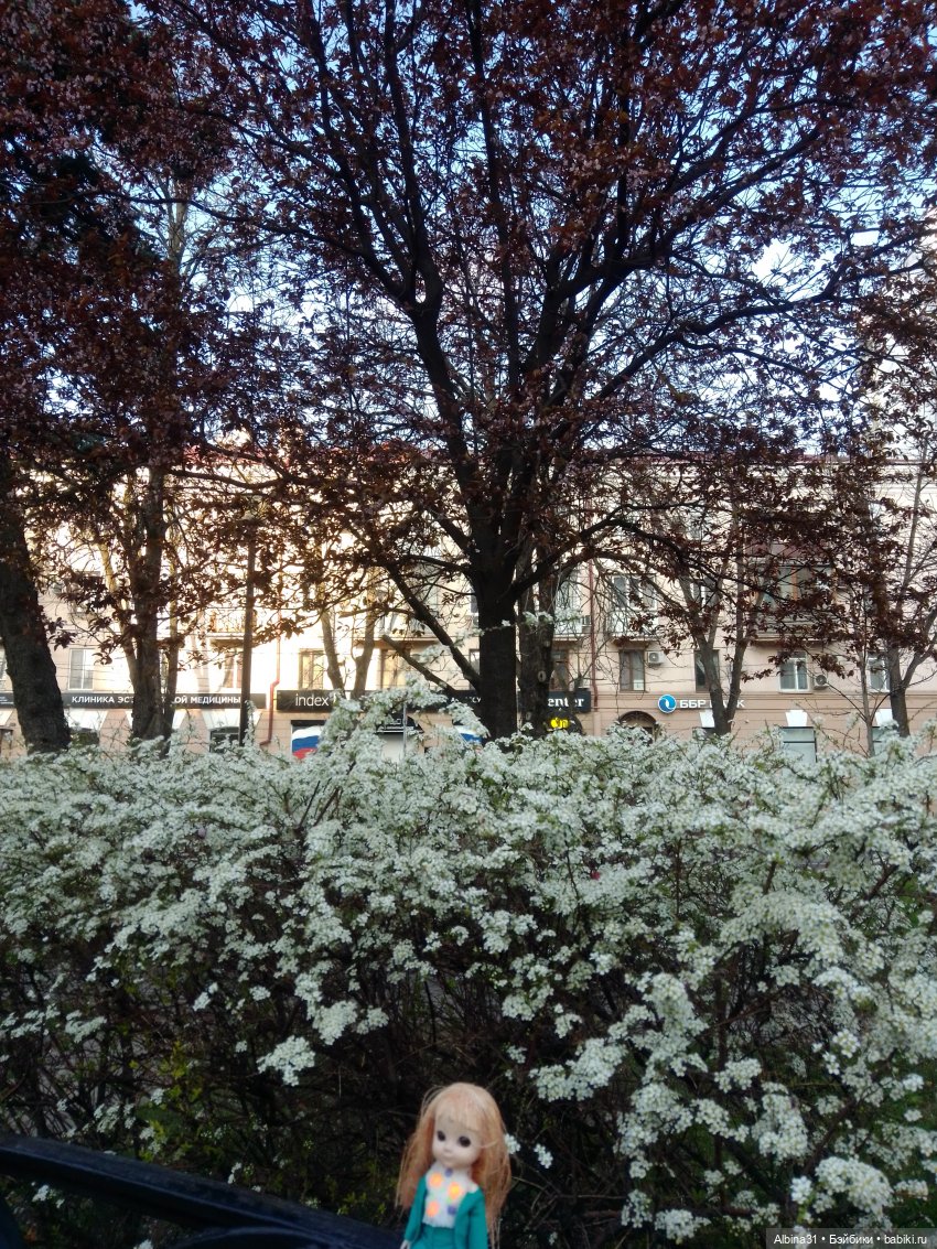 Краснодар. Март 2025 — Разные шарнирные куклы (не БЖД): редкие