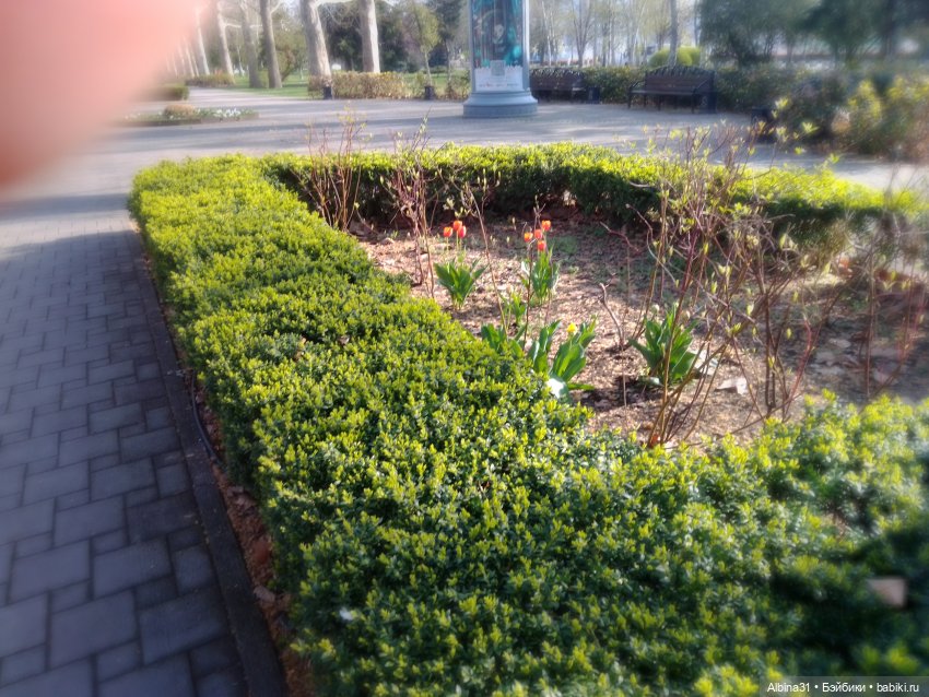 Краснодар. Март 2025 — Разные шарнирные куклы (не БЖД): редкие