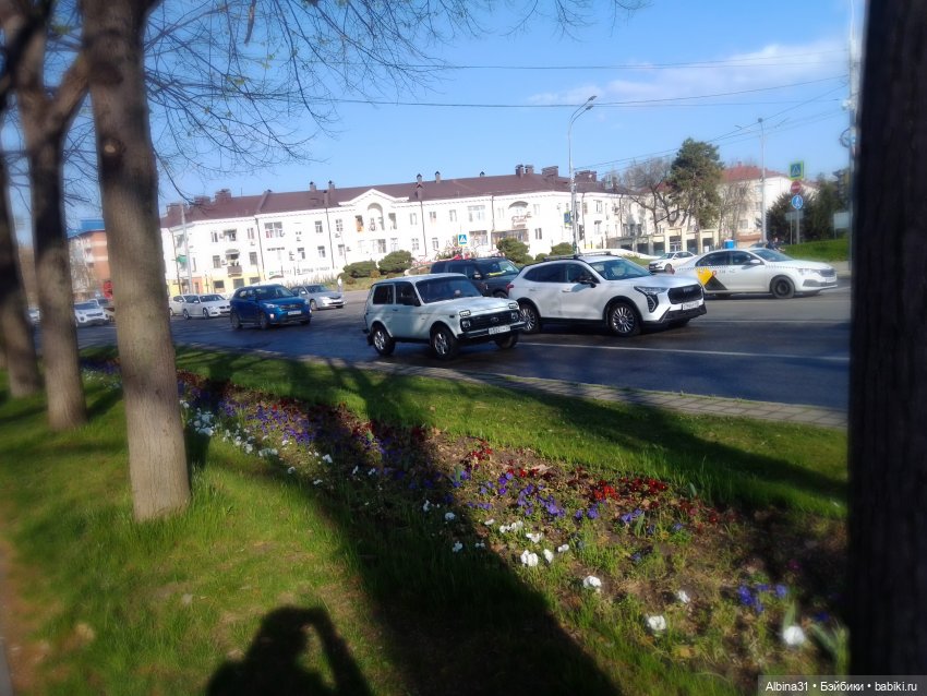 Краснодар. Март 2025 год (продолжение) (фото 5)