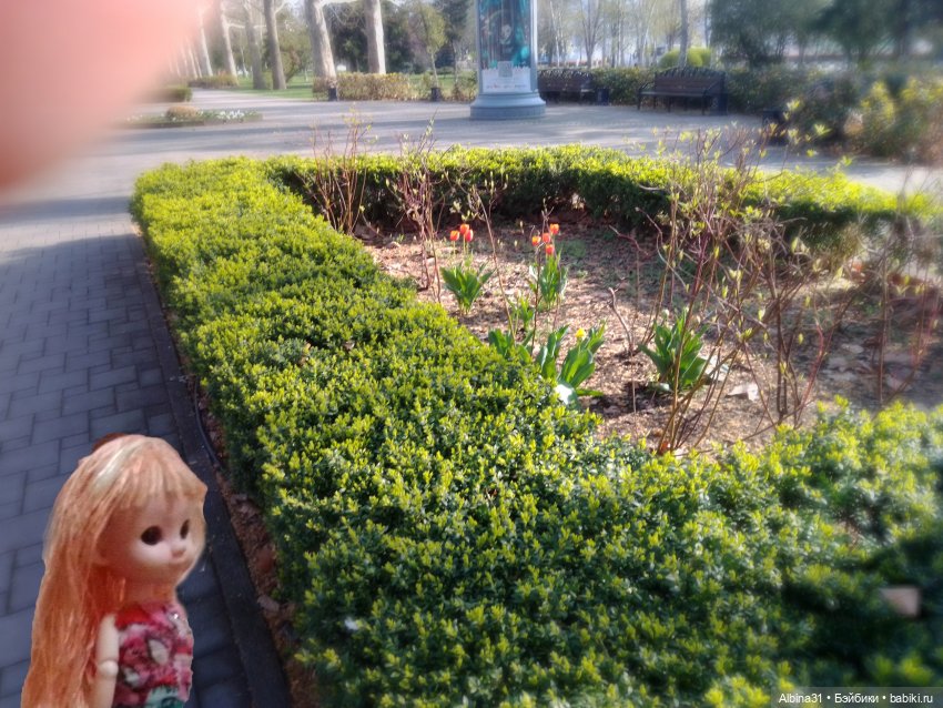 Краснодар. Март 2025 год (продолжение)