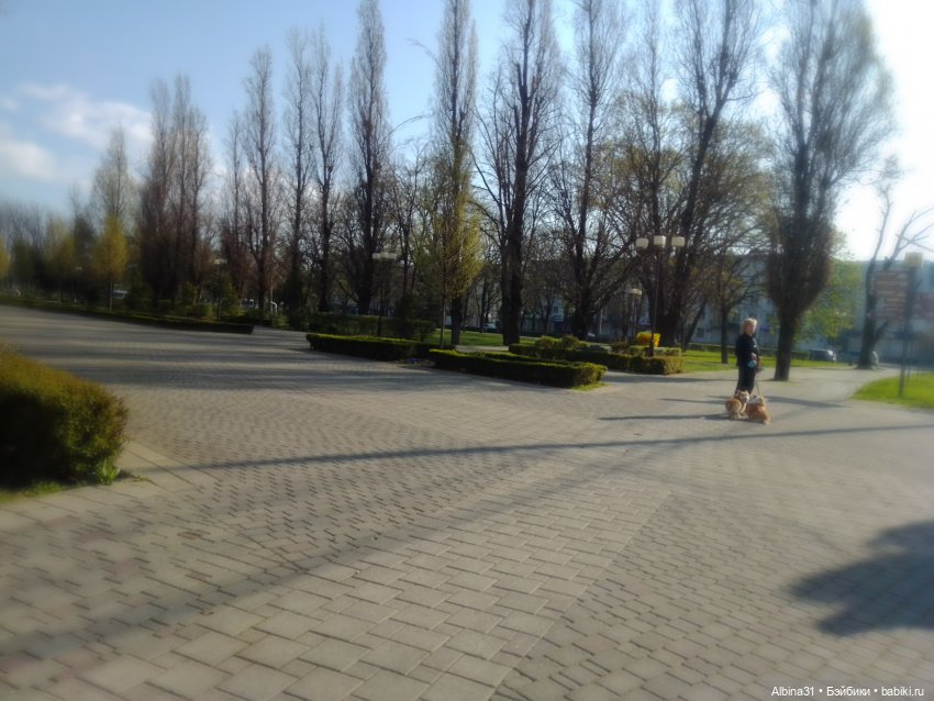 Краснодар. Март 2025 год (продолжение) (фото 8)